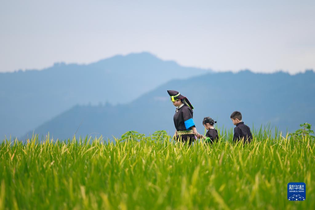 老虎机模拟器